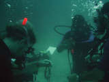Scuba Diving Lesson